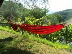 relax